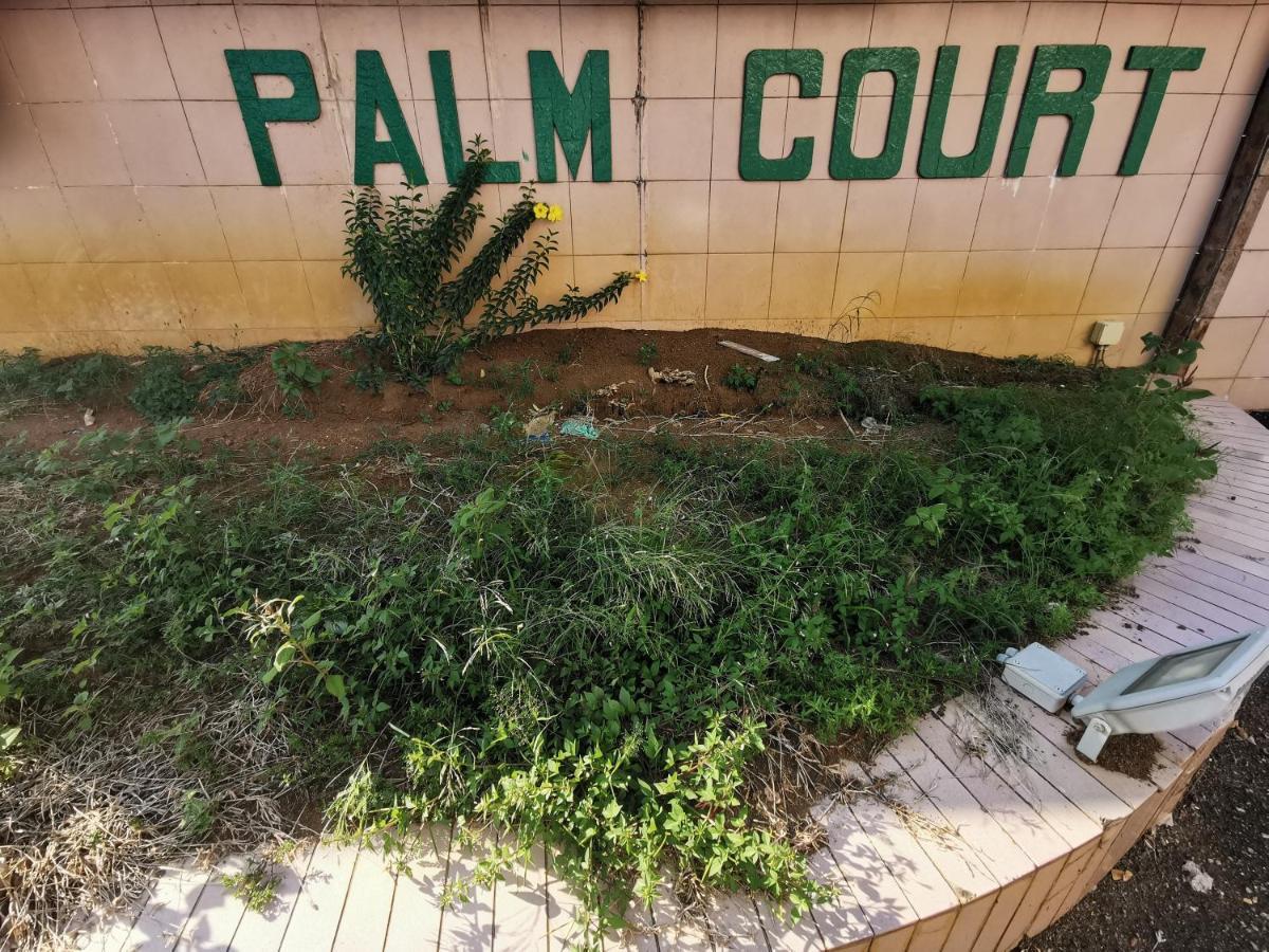 Diy Palm Court Bedroom Kuantan Exterior photo